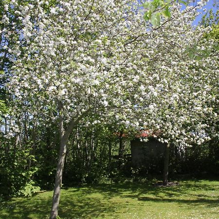 Countryside Eco Natuurhuisjes Ee 외부 사진
