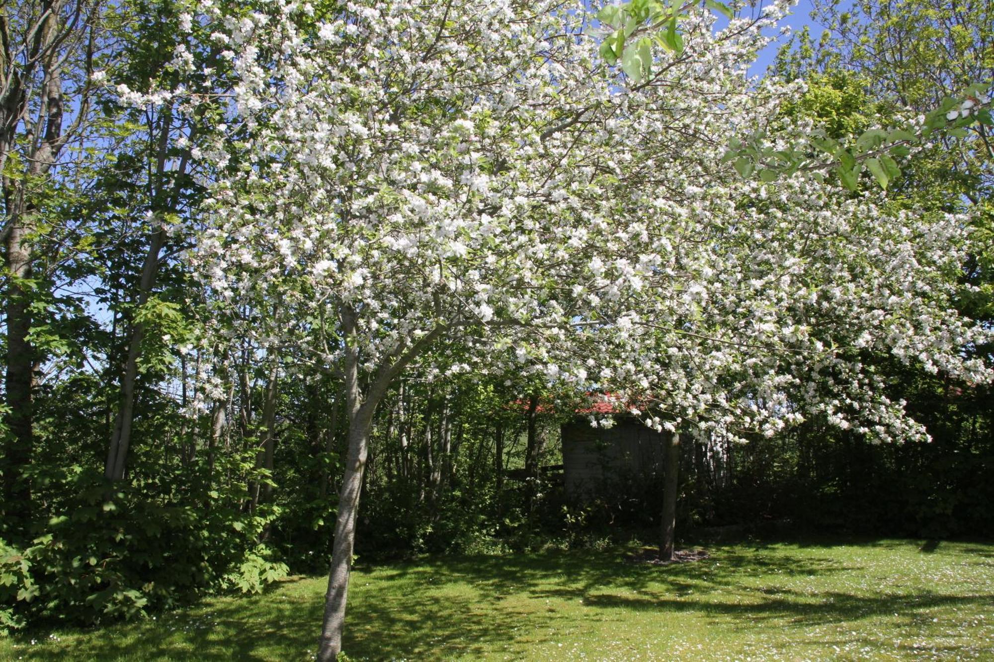 Countryside Eco Natuurhuisjes Ee 외부 사진