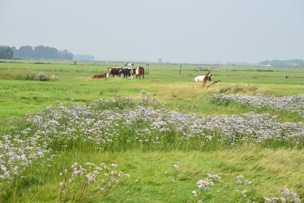 Countryside Eco Natuurhuisjes Ee 외부 사진