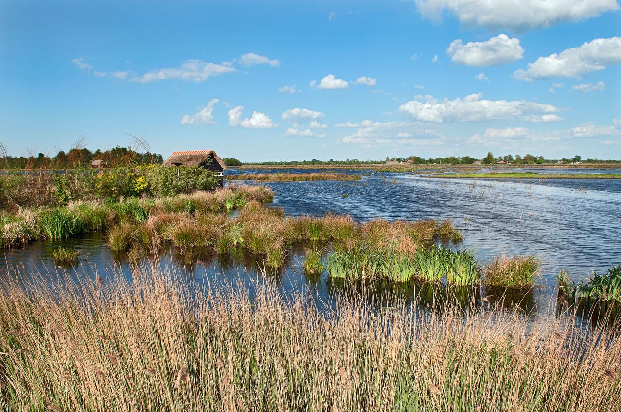 Countryside Eco Natuurhuisjes Ee 외부 사진