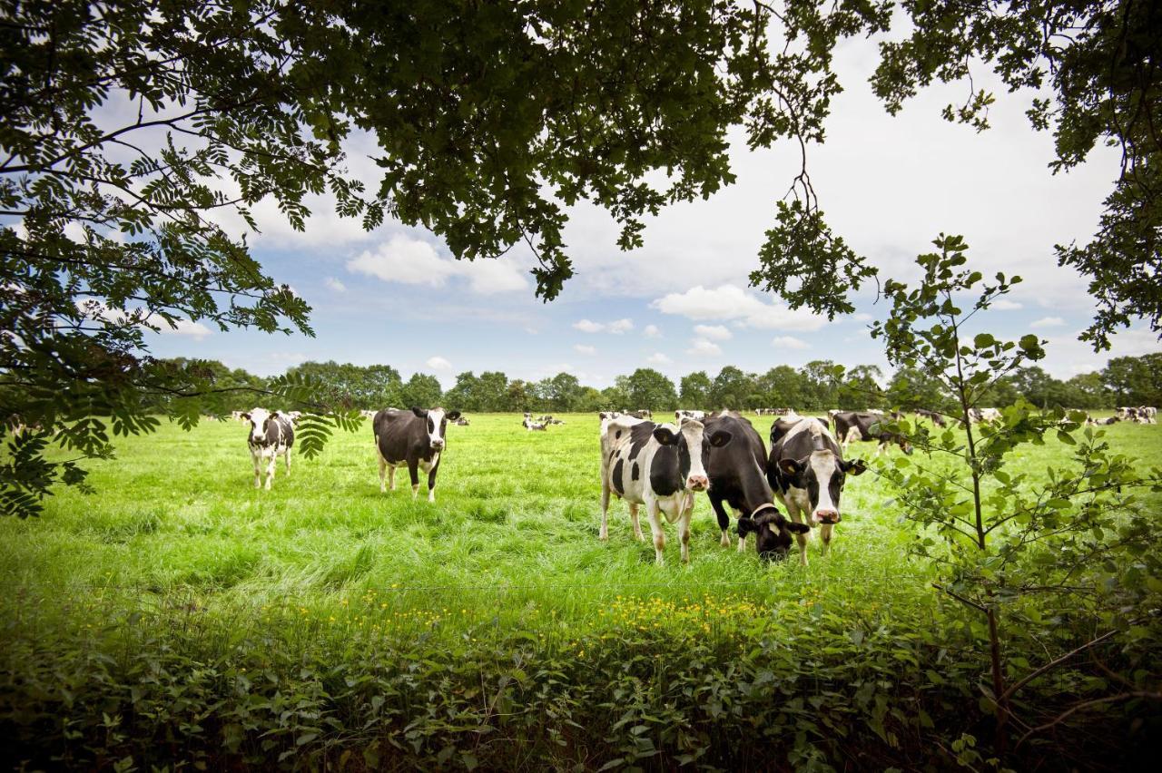 Countryside Eco Natuurhuisjes Ee 외부 사진