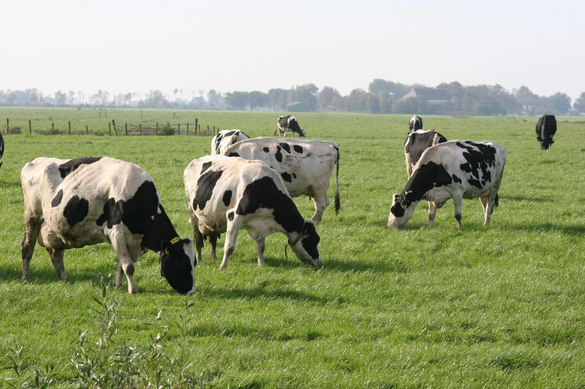 Countryside Eco Natuurhuisjes Ee 외부 사진